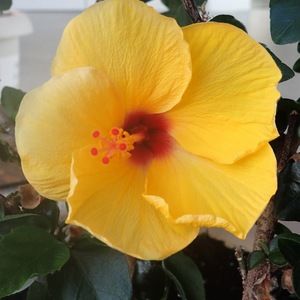 Meet your Posher, Cathy